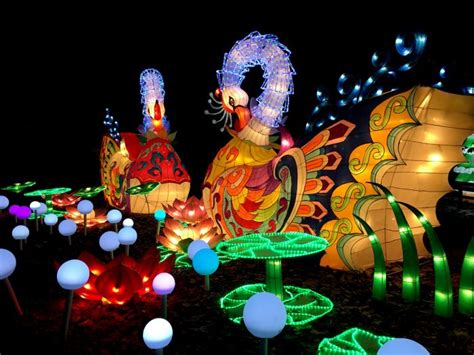 The Ultimate Guide to Experiencing Magic of Lights Columbus
